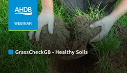 Grassland soils: knowing what you’ve got and how to improve it